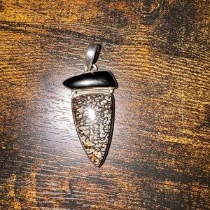 Dinosaur bone and Onyx pendant